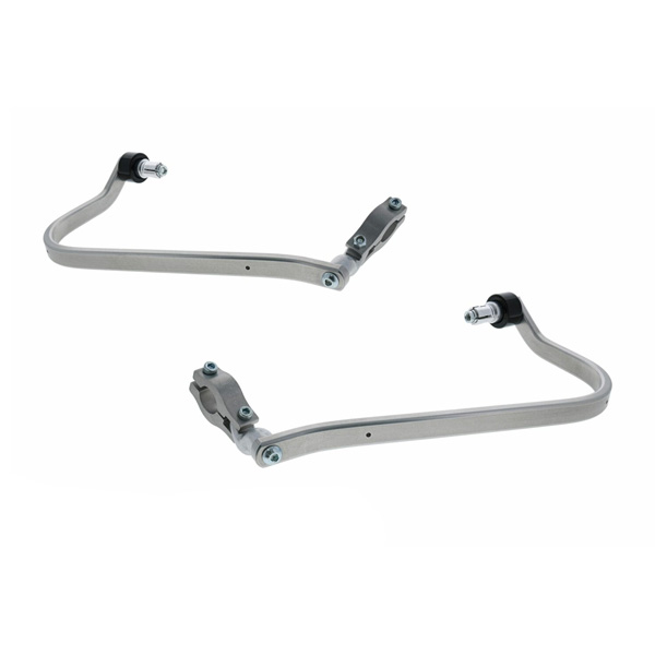 Daisy on the Ohoopee